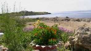 Сдам комнату у моря в Черноморске
