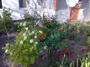 Летний отдых у самого экологически чистого Черного моря!