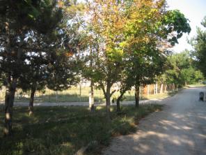 продам дом-дачу-квартиру: три в одном