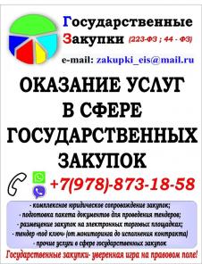 Оказание услуг в сфере государственных закупок