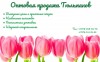Тюльпаны оптом