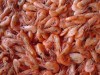.куплю креветки (усик).