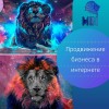 Профессиональное продвижение бизнеса в интернете