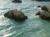 .Отдых в Крыму горящие   туры отдых у моря Севастополь.